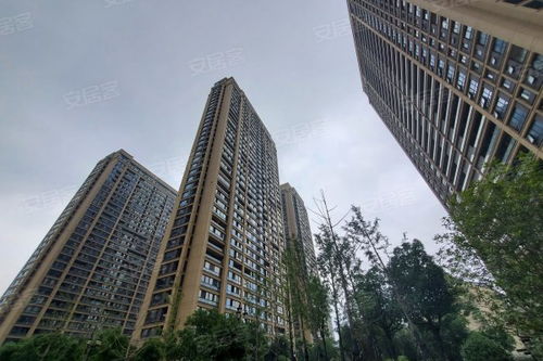 針織廠宿舍居住體驗(yàn)與房產(chǎn)交易環(huán)境全解析